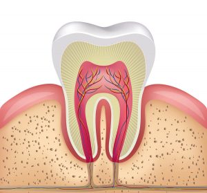 Kanal Tedavisi (Endodonti)